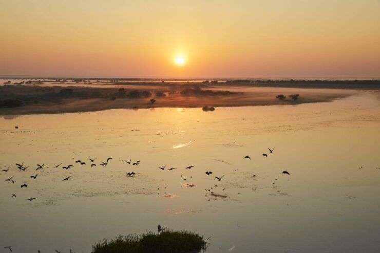 live football scores